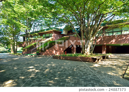 Mine Numata Field：Citizen's Forest 24887373