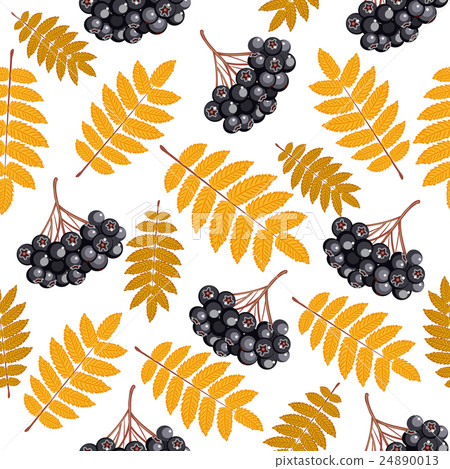 Autumn seamless pattern with rowan 24890013