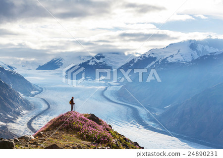Salmon glacier 24890231