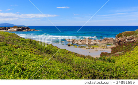 Summer blossoming Atlantic coastline (Galicia). 24891699
