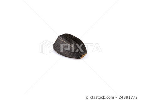 Heap of black sunflower seeds Heap of black sunflower seeds 24891772