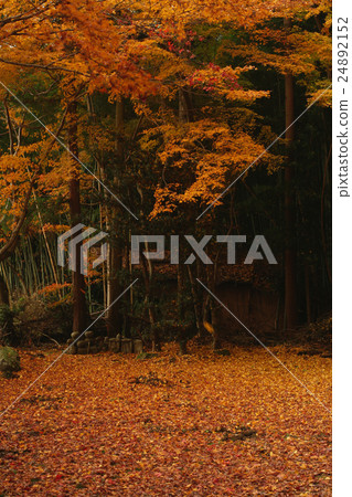 Maple map of the temple 24892152