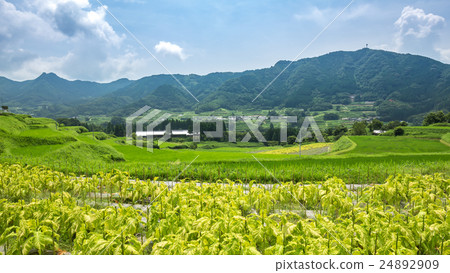高千穗周圍的風景 高千穗周圍的風景 24892909