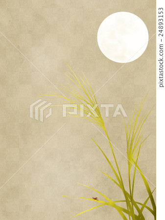 Moon and Suzuki b (platinum background) Moon and Suzuki b (platinum background) 24893153