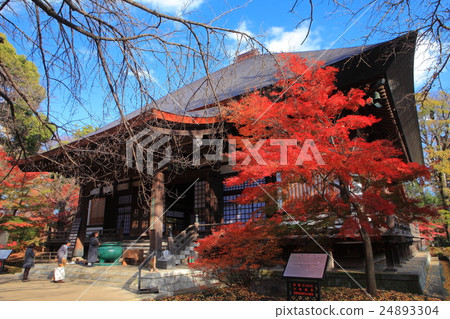 Kyushu Buddha and Buddhist temples in autumn leaves (Main Hall) Kyushu Buddha and Buddhist temples in autumn leaves (Main Hall) 24893304