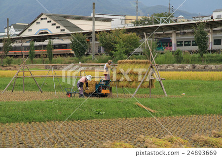 Oito Line Hakuba Station in Autumn 24893669