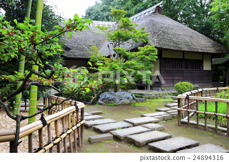 老房子和花園 24894316