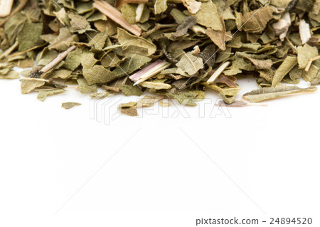 Lemon verbena: Lemon verbena Lemon verbena: Lemon verbena 24894520