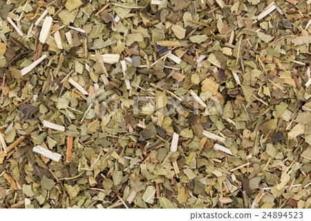 Lemon verbena: Lemon verbena Lemon verbena: Lemon verbena 24894523