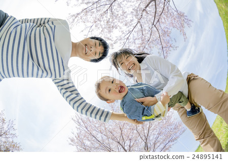 在櫻花公園玩的三個家庭 24895141