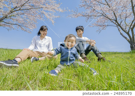 Three families who play in the cherry blossom park Three families who play in the cherry blossom park 24895170