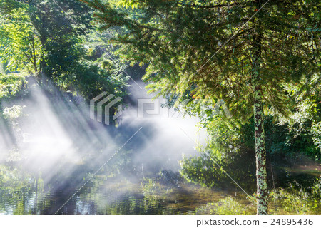 The waterside of the pond 24895436