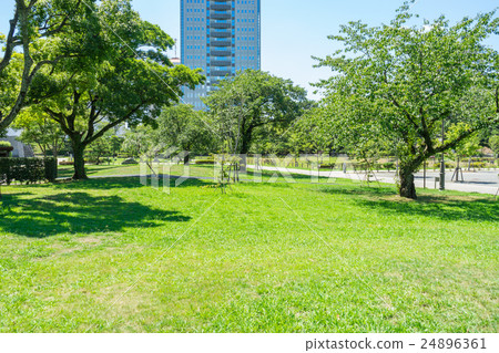 Sunpu城堡公園在夏天 Sunpu城堡公園在夏天 24896361