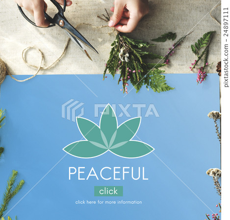 Meditation Healthcare Lotus Flower Graphic Concept Meditation Healthcare Lotus Flower Graphic Concept 24897111