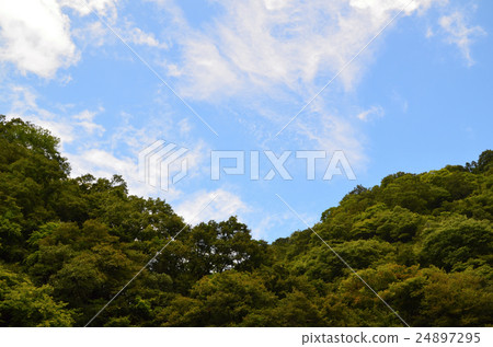 Satoyama and Aozora 24897295