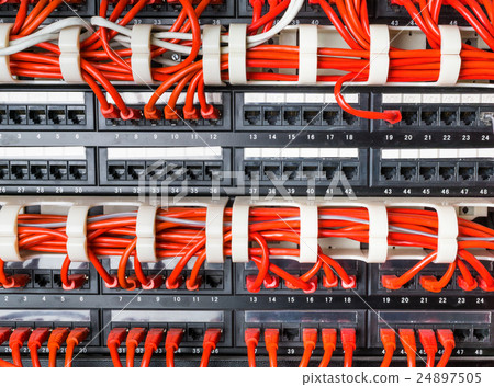 Rows of network cables connected to router  24897505