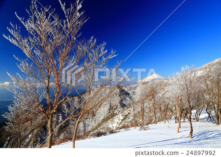 Mt. Fuji seen from Tanzawa and Tadeno of Ice ice Mt. Fuji seen from Tanzawa and Tadeno of Ice ice 24897992