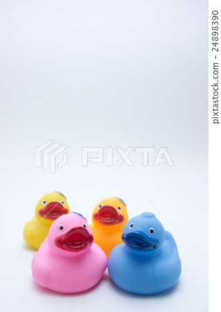 Duck / hot summer sunrise Duck / hot summer sunrise 24898390