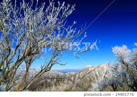 Tanzawa山脈·Tonodake河和Hikigatake地區 24901778