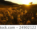 Seng Kogen dusk Part 4 24902122