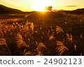 Seng Kogen dusk Part 5 24902123