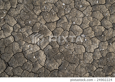 Cracked land during drought Cracked land during drought 24902224