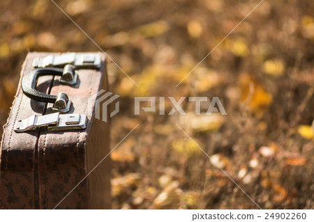 Suitcase standing on the grass with yellow Suitcase standing on the grass with yellow 24902260