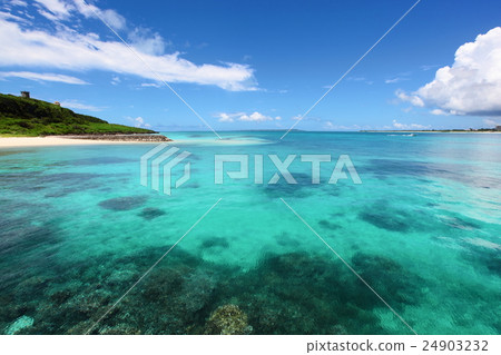 珊瑚海 珊瑚海 24903232