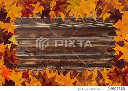 maple leaves and wooden background 24903880