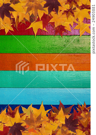 maple leaves and multicolored background 24903881