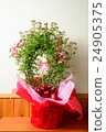 Bouquet 24905375