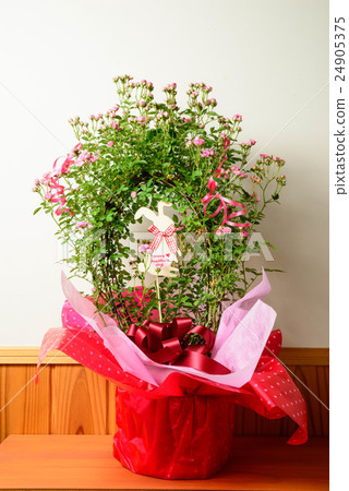 Bouquet 24905375