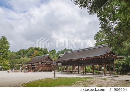 古都Kamigamo神社 24906604