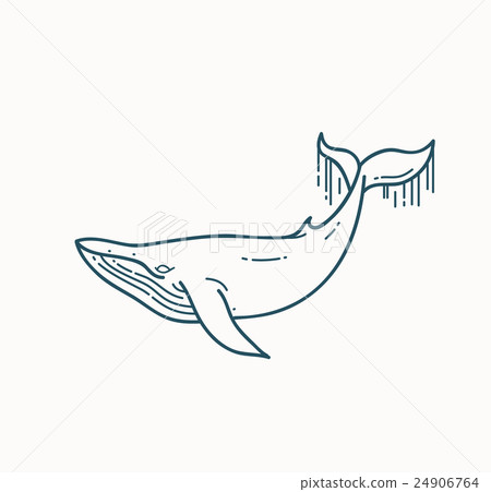 插图素材: whale linear illustration.