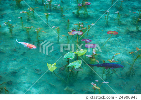 Pond of monet Pond of monet 24906943