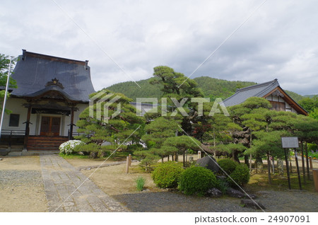 Shinshu Ina Takashi Temple島光寺Makkoji寺廟武田信玄兄弟手工種植黑松樹 Shinshu Ina Takashi Temple島光寺Makkoji寺廟武田信玄兄弟手工種植黑松樹 24907091