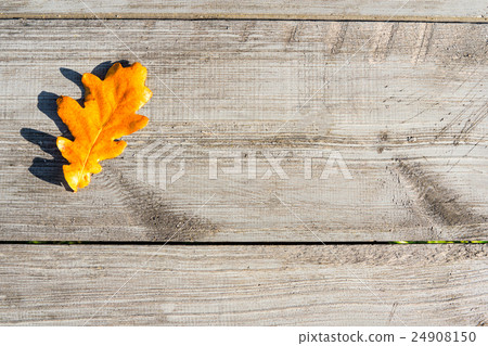 Autumn leaves on a table Autumn leaves on a table 24908150