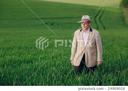 old man in field 24909026