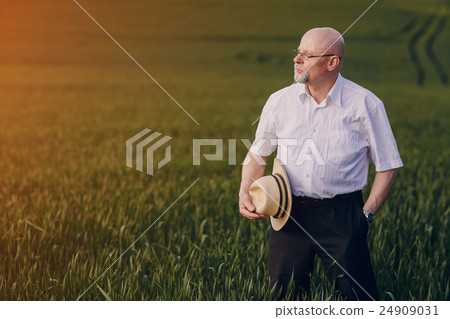 old man in field old man in field 24909031
