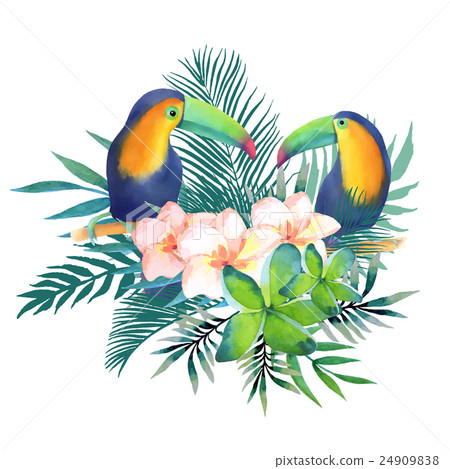 Watercolor illustration with toucans 24909838