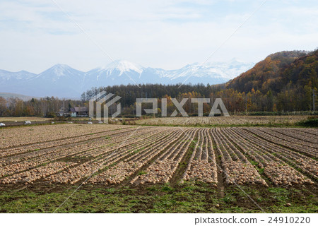 Furano landscape 24910220