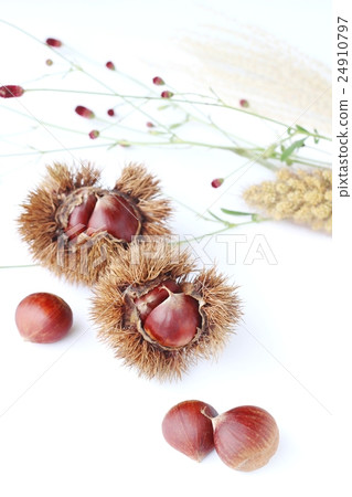 Chestnut autumn image 24910797