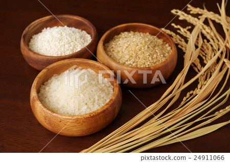 Brown rice, white rice, glutinous rice and ear rice served in rice three varieties of autumn Brown rice, white rice, glutinous rice and ear rice served in rice three varieties of autumn 24911066