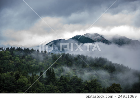 一個多雨的森林 24911069