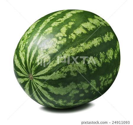 Whole striped round watermelon isolated on white Whole striped round watermelon isolated on white 24911093