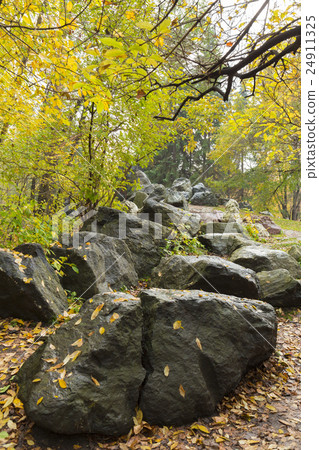 stones on the white background stones on the white background 24911325