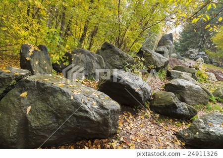 stones on the white background stones on the white background 24911326