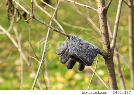 mitten on the white background 24911327