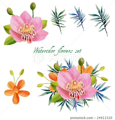 Watercolor floral set for your design. Watercolor floral set for your design. 24911520