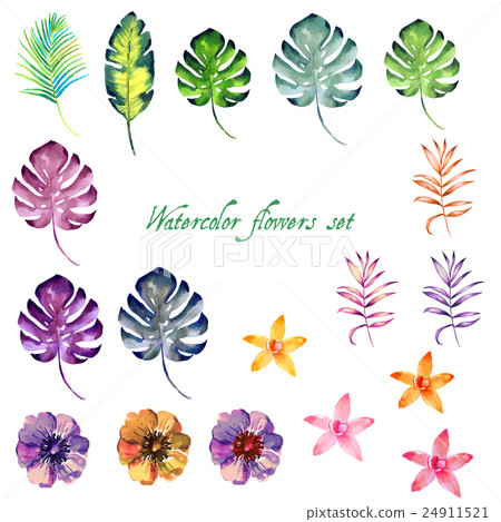 Watercolor floral set for your design. 24911521
